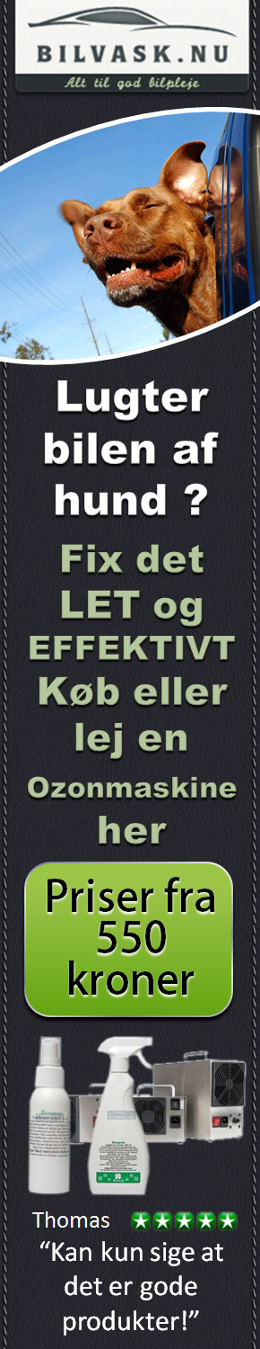 ozonmaskine
